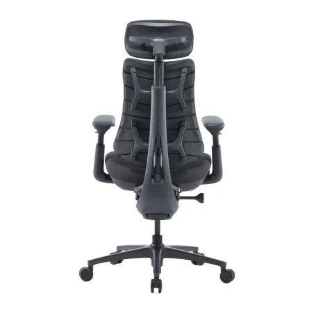LiberNovo Omni Pro 48 cm Ergonomic Chair (Graphite)